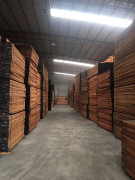 新貨到，雙發(fā)到新貨有紅玫瑰，黃玫瑰，紅花梨，紅紅火火，歡迎訂貨